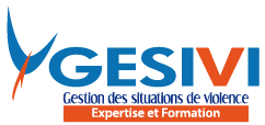 Partenariat avec GESIVI SYSTEM - Organisme de formation